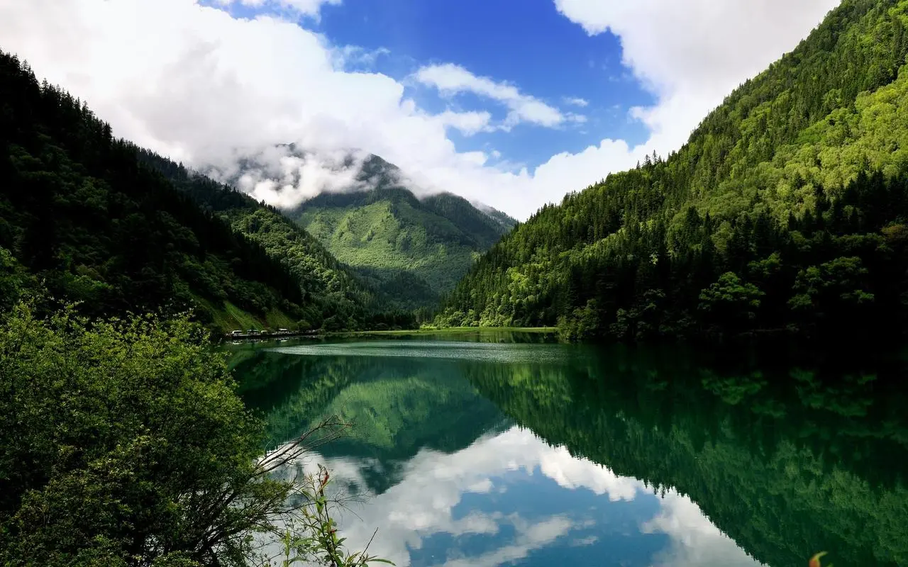 高端可靠性